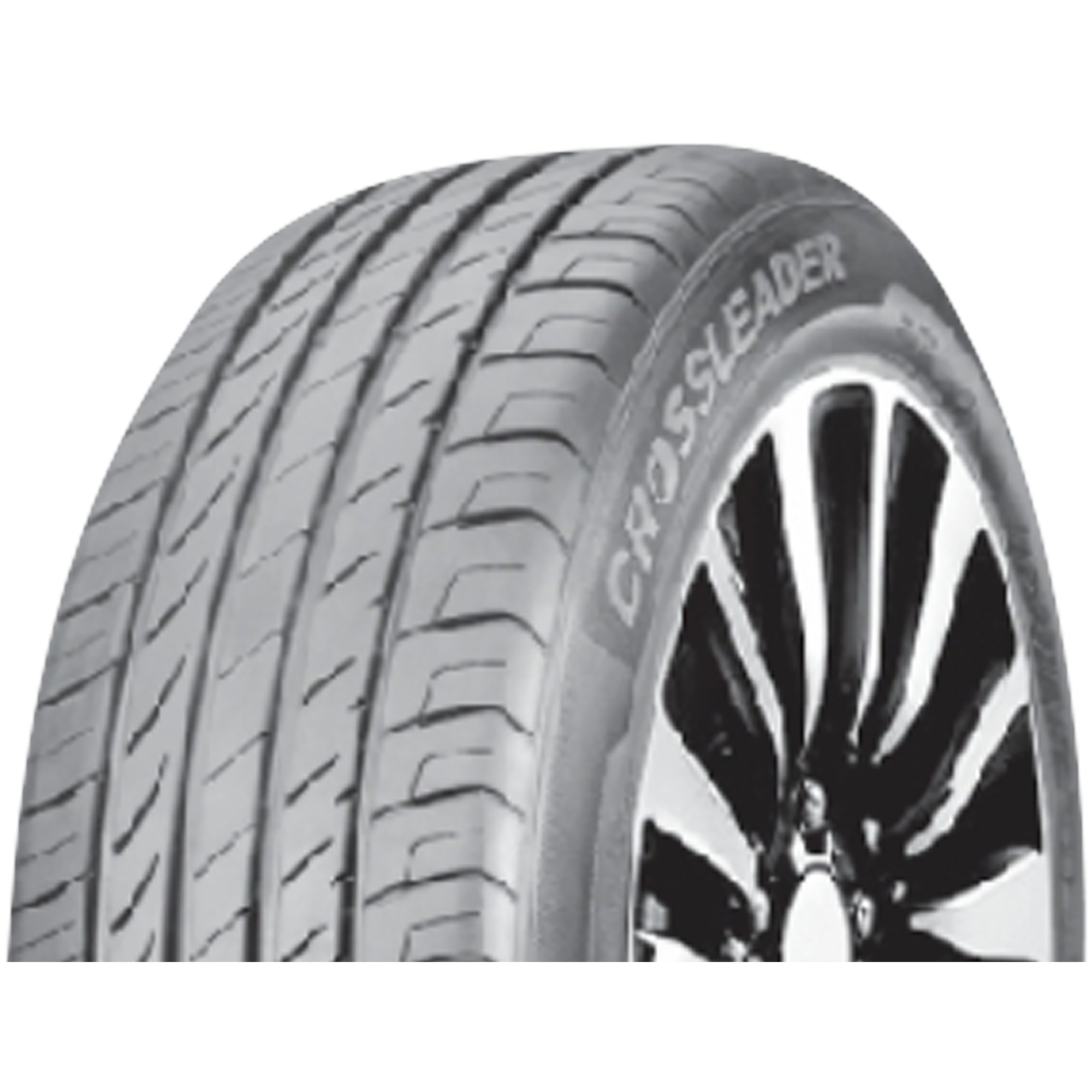 Double Star DU01 245/50 R18